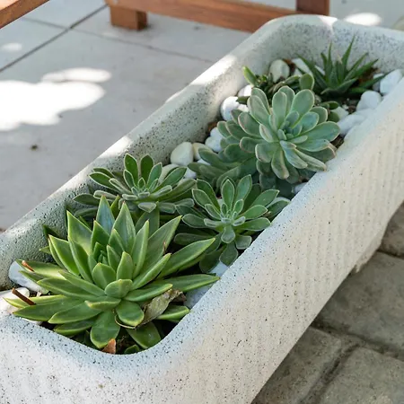 Riserva-la Marea Lägenhet Vasto