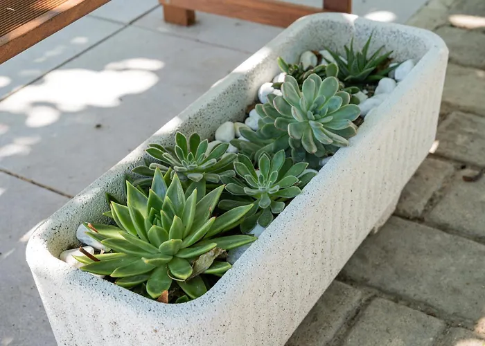 Riserva-la Marea Apartment Vasto